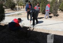 گزارش تصویری مراسم روز درختکاری